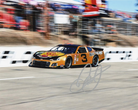 AUTOGRAPHED 2022 Dale Earnhardt Jr. #3 Bass Pro Shops Late Model Car Signed Photo - A thrilling collectible capturing Dale Jr.'s racing legacy. Authentic autograph, Certificate of Authenticity included. Perfect for NASCAR enthusiasts and Dale Jr. fans.