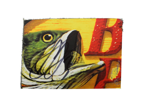 This Austin Dillon autographed 2024 race-used sheet metal from Atlanta Speedway showcases the Bass Pro Fish logo and is encased in a toploader for display. A rare NASCAR collectible for fans and collectors, making it an excellent gift for motorsports enthusiasts.