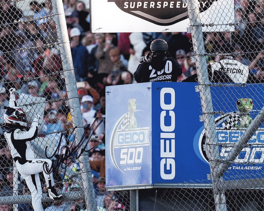 Nascar Fence Climber