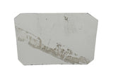 Race-used sheet metal from Kevin Harvick’s 2020 #4 National Forest Foundation NASCAR car driven at the Daytona Road Course. This signed memorabilia piece measures roughly the size of a standard trading card, includes a certificate of authenticity, and fits inside a plastic toploader for display.