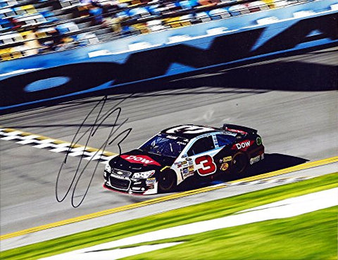 AUTOGRAPHED 2014 Austin Dillon #3 DOW Chevy Team DAYTONA INTERNATIONAL SPEEDWAY (Richard Childress Racing) 9X11 Signed NASCAR Glossy Picture Photo with COA
